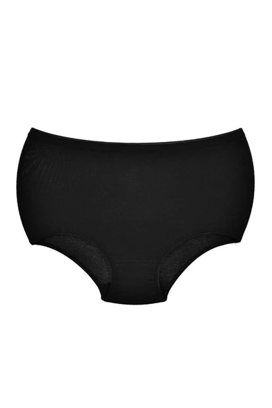 Özten Almila (6 adet) Modal Toparlayıcı Bato Kadın Külot 113 - 3