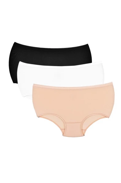 Özten Almila (6 adet) Modal Toparlayıcı Bato Kadın Külot 113 - 4