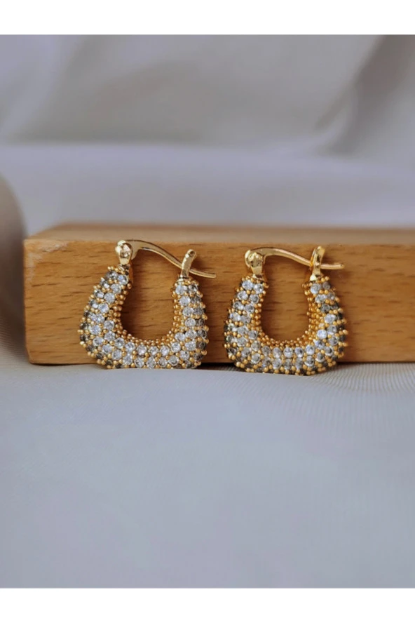 Arp Model Minimal Zirkon Taşlı Zarif Gold Renk Çelik Küpe - Resim 2