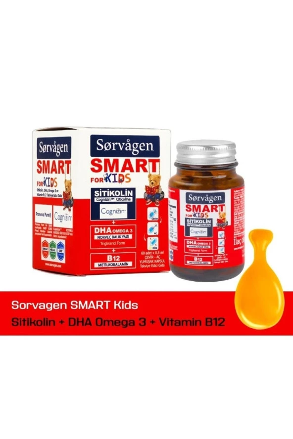 SORVAGEN Smart Kids Sitikolin Dha Omega 3 Norveç Balık Yağı B12 60 Kapsül