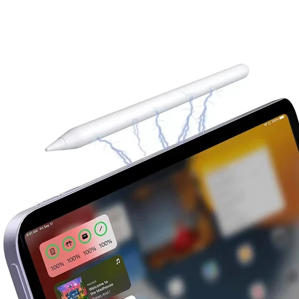 Zore Pencil 09 Palm-Rejection Magnetik Şarj ve Eğim Özellikli Dokunmatik Çizim Kalemi - 8