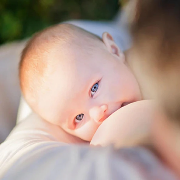 Badger Bebek Bezi Kremi (Pişik Önlemeye Yardımcı) / Diaper Cream 87mL - 4