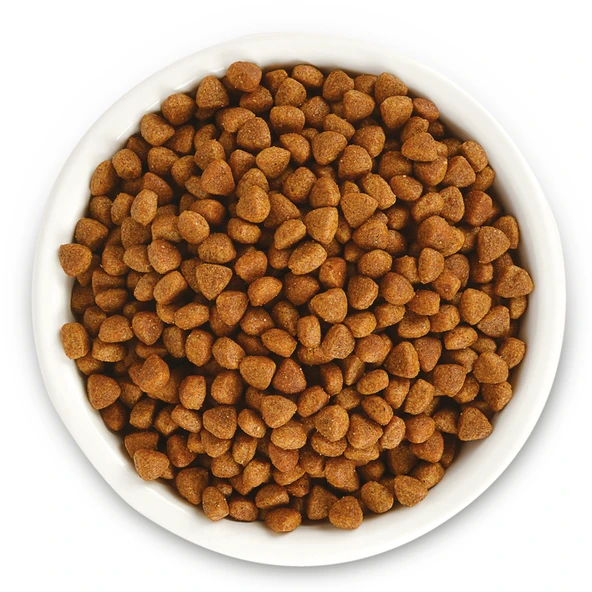 Jungle 15 kg Yavru Kedi Maması Tavuklu - Resim 8