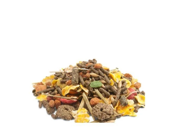 Versele Laga Ginepig Yemi 700gr - Resim 2