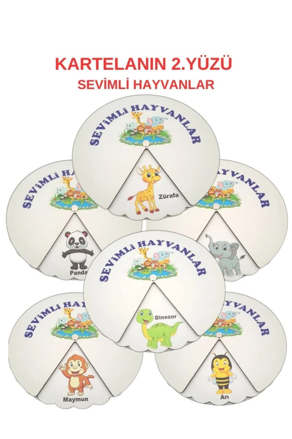 Montessori Okul Öncesi Öğreniyorum Eğitim Kartela Çark Seti 6 Farklı Tema - 6