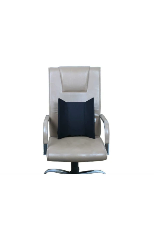 Medikal Koltuk Minderi Araç Sandalye Bel Sırt Yastığı - 4