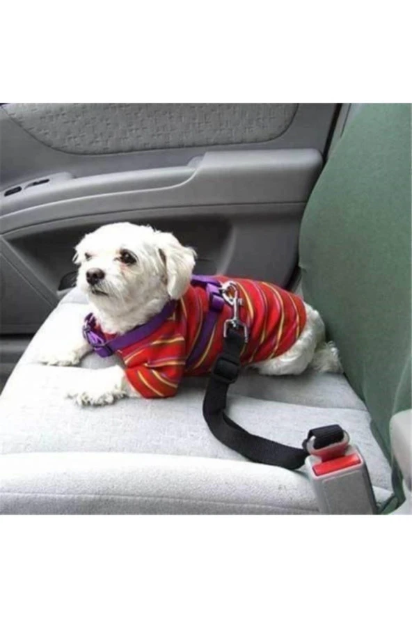 Araç Araba Içi Arka Koltuk Sıvı Geçirmez Evcil Hayvan Kedi Köpek Örtüsü + Emniyet Kemeri Tasması - 2