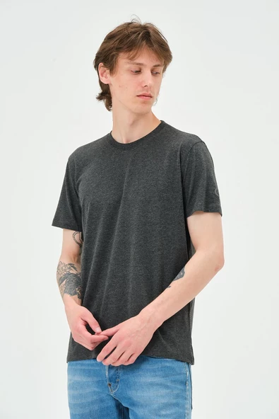 Erkek Bisiklet Yaka Regular Kalıp T-shirt Antrasit