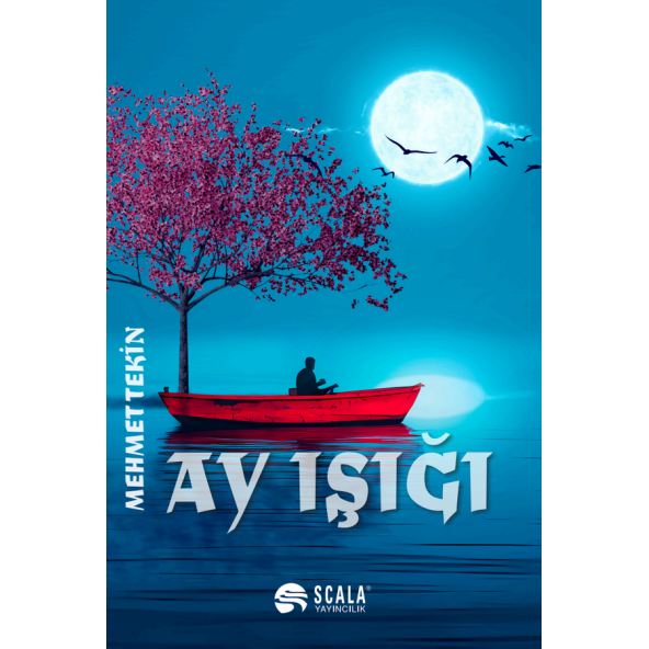 Ay Işığı