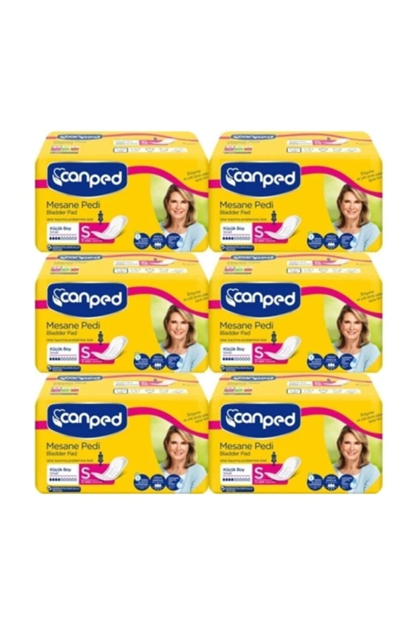 Canped Mesane Pedi Küçük Boy Small 12 Li X 6 Adet