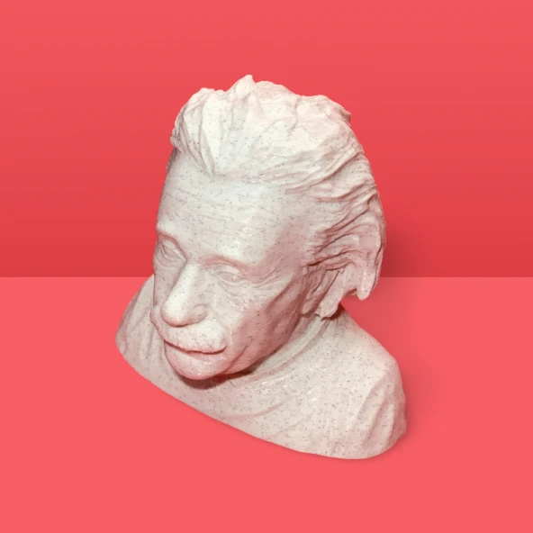 Mermer Görünümlü 3D Albert Einstein Büstü