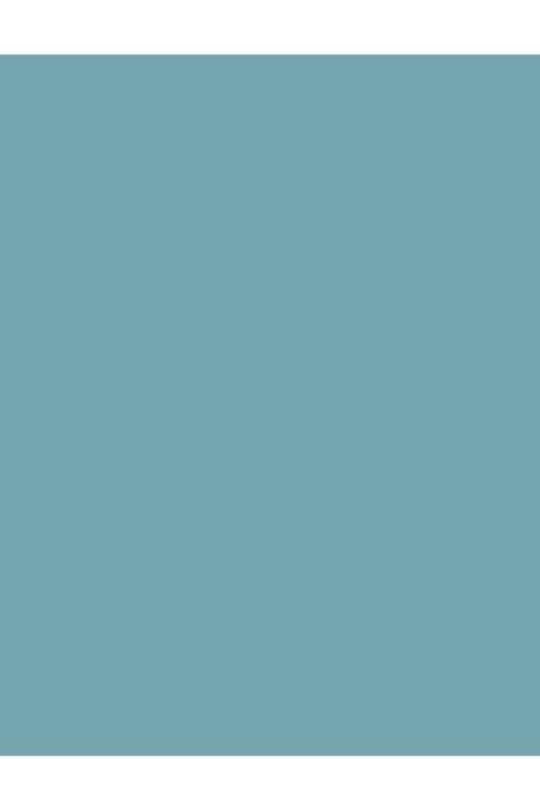 Flormar Fne-497 Celadon Glaze New - 3