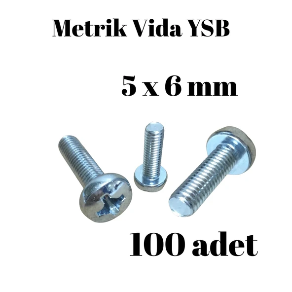 Metrik Vida YSB 5X6 100 Adet Yıldız Silindir Başlı Vida ürün görseli 1