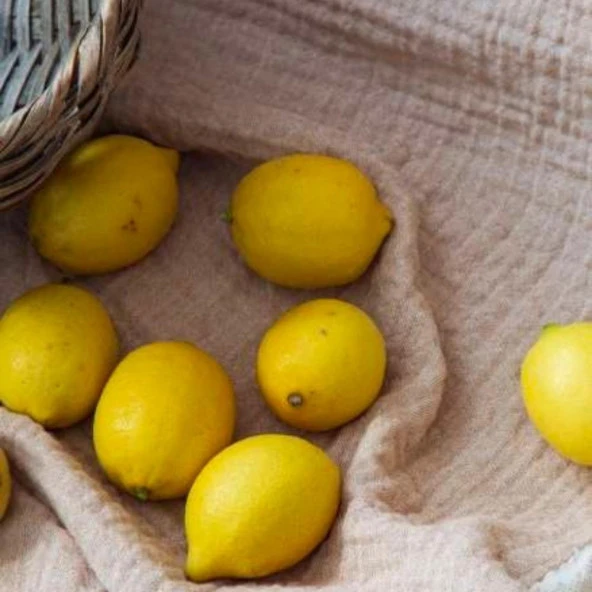 Apricitas Home Muslin Çift Kişilik Yatak Örtülü Nevresim Takımı June Bej - Resim 2