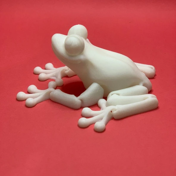 3D Hareketli Kurbağa Figürlü Oyuncak - Beyaz - Resim 4