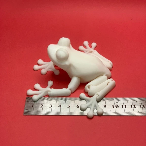 3D Hareketli Kurbağa Figürlü Oyuncak - Beyaz - Resim 7