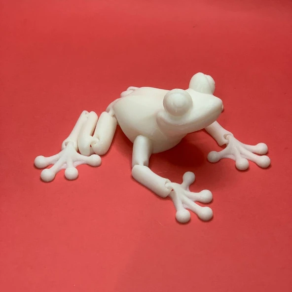 3D Hareketli Kurbağa Figürlü Oyuncak - Beyaz - Resim 2