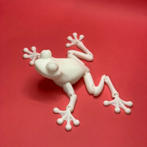 3D Hareketli Kurbağa Figürlü Oyuncak - Beyaz - Resim 3
