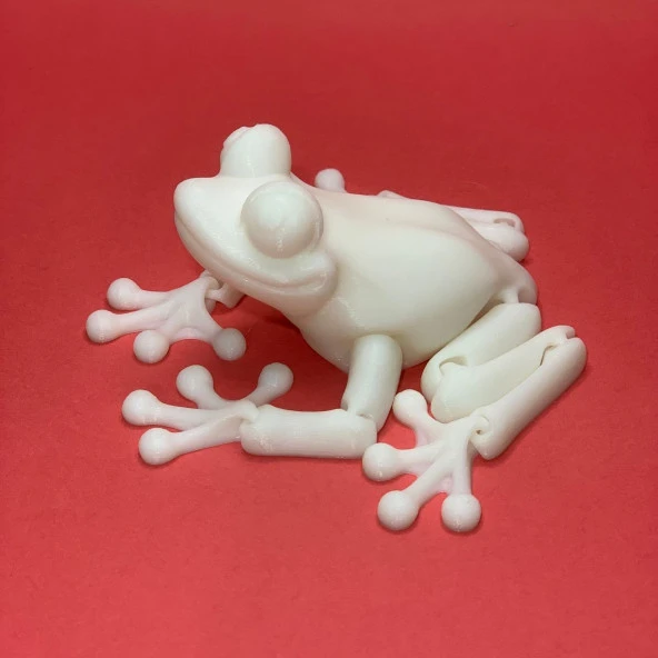 3D Hareketli Kurbağa Figürlü Oyuncak - Beyaz - Resim 5