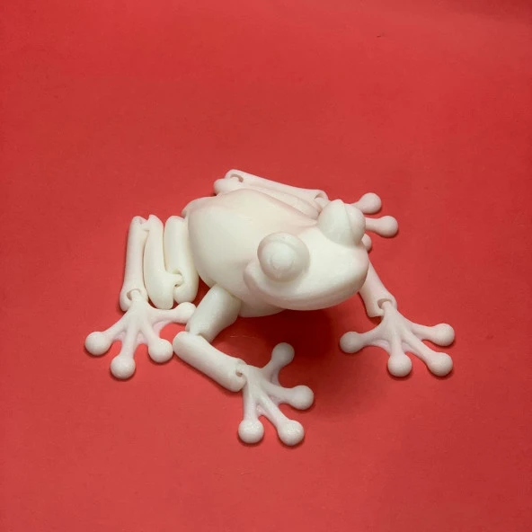 3D Hareketli Kurbağa Figürlü Oyuncak - Beyaz - Resim 6