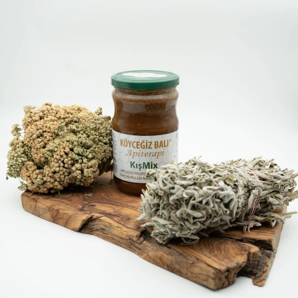 Kb Köyceğiz Balı Kışa Hazırlık Seti