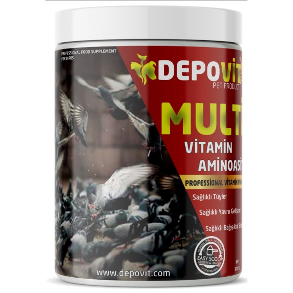 DEPOVİT MULTİVİTAMİN AMİNOASİT TOZ 300 GR