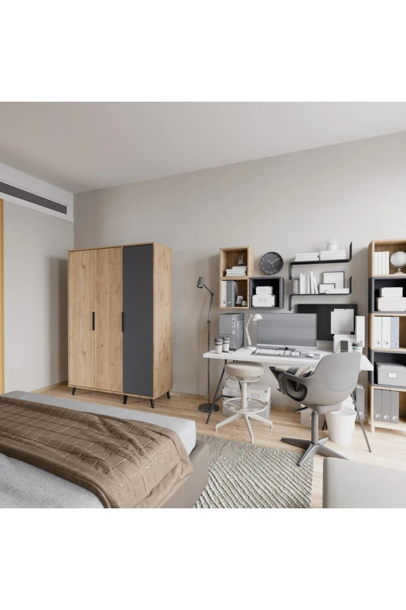 ALONEX Aden 3 Kapaklı Gardırop Sepet Ant - 4