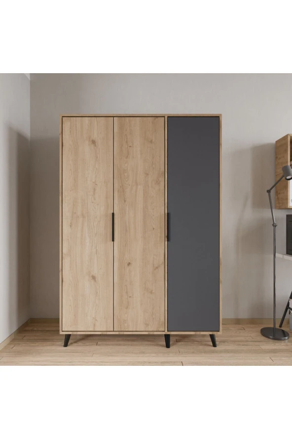 ALONEX Aden 3 Kapaklı Gardırop Sepet Ant