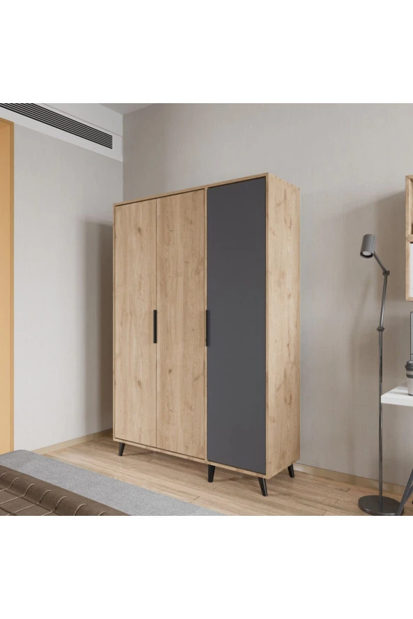 ALONEX Aden 3 Kapaklı Gardırop Sepet Ant - 2