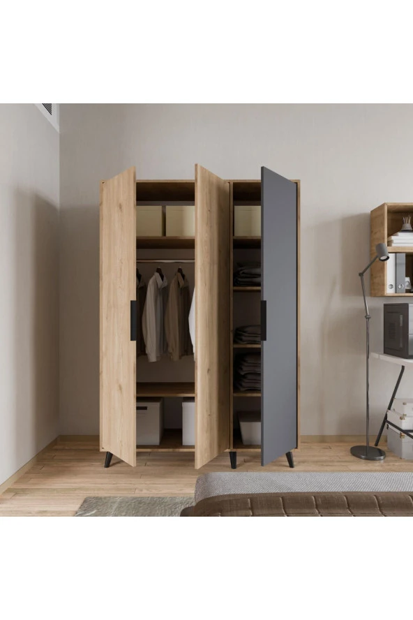 ALONEX Aden 3 Kapaklı Gardırop Sepet Ant - 3