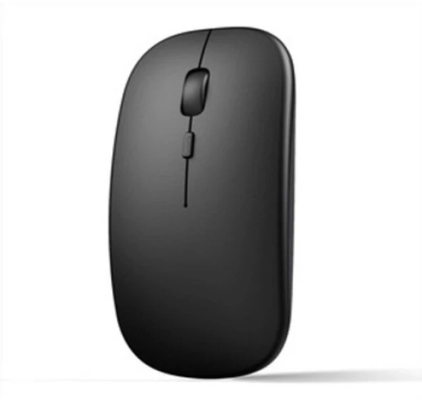 A100 Kablosuz Mouse 2.4Ghz