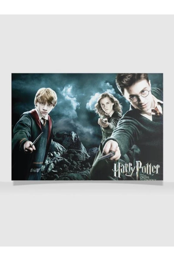 HP Tasarımlı 24*33 cm 350 gr. Kuşe Kağıt Poster PYTKPSTR044