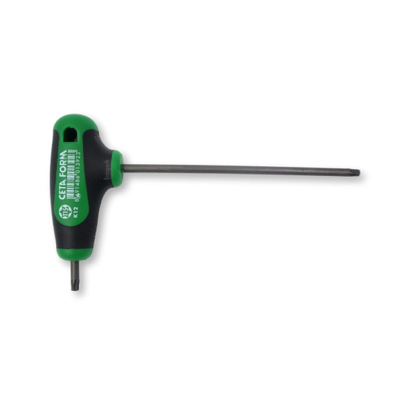 Ceta Form K12-015-100 TORX Allen Anahtar T 15 T Saplı