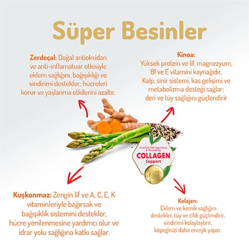 Felicia Hypoallergenic Medium Large Somonlu Düşük Tahıllı Yetişkin Köpek Maması 15 Kg - 3