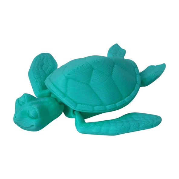 3D Hareketli Kaplumbağa Figürlü Oyuncak - Turkuaz - Resim 12
