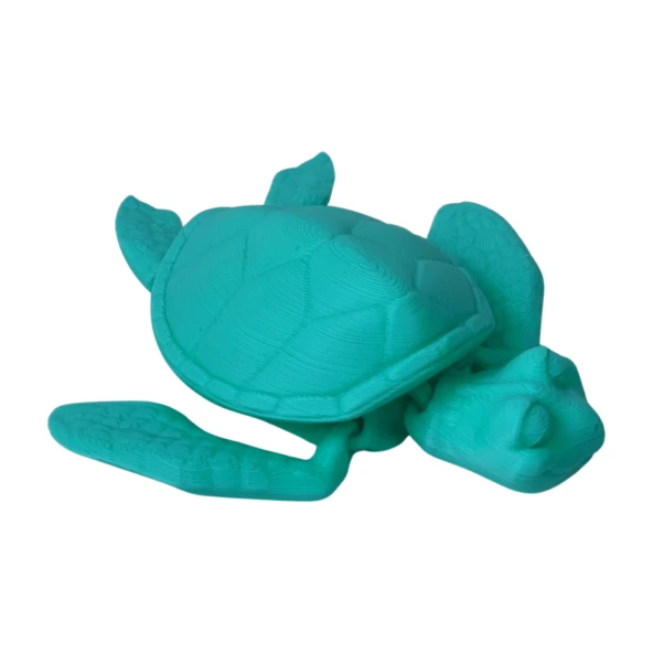 3D Hareketli Kaplumbağa Figürlü Oyuncak - Turkuaz - Resim 3