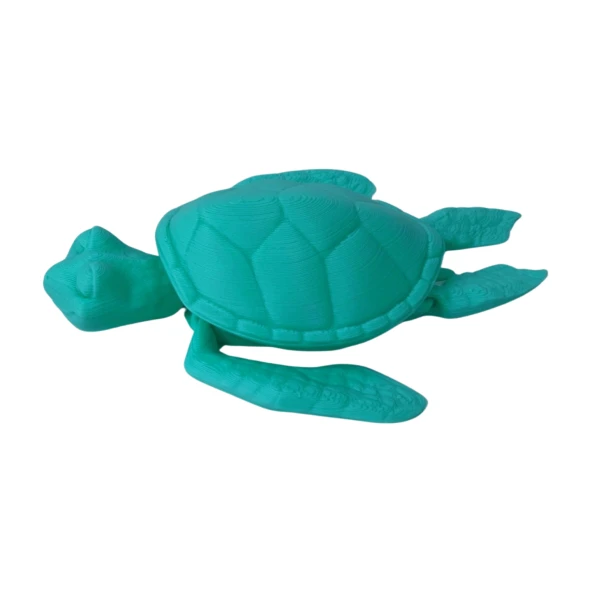 3D Hareketli Kaplumbağa Figürlü Oyuncak - Turkuaz - Resim 5