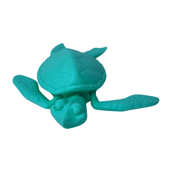 3D Hareketli Kaplumbağa Figürlü Oyuncak - Turkuaz - Resim 9