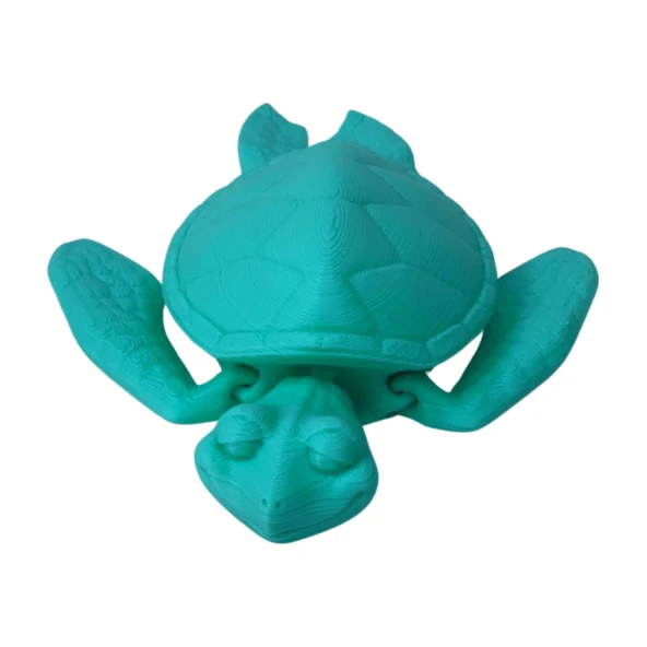 3D Hareketli Kaplumbağa Figürlü Oyuncak - Turkuaz - Resim 7