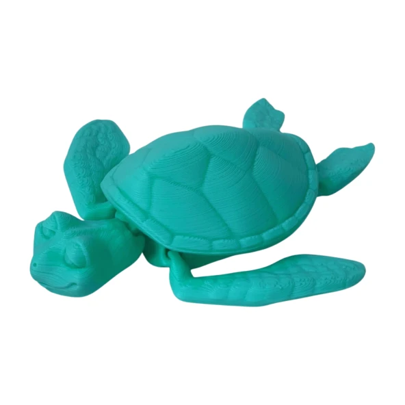 3D Hareketli Kaplumbağa Figürlü Oyuncak - Turkuaz - Resim 11