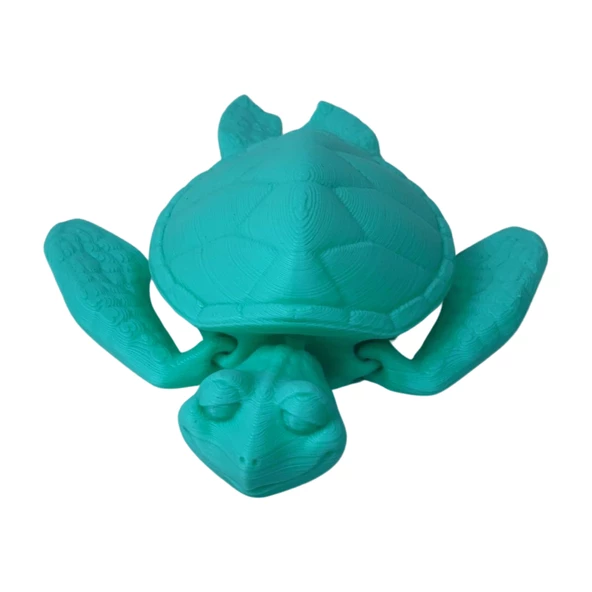 3D Hareketli Kaplumbağa Figürlü Oyuncak - Turkuaz - Resim 8