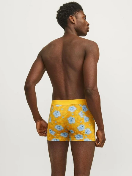 Jack Jones Hawaıı 3Lü Paket Erkek Baxer 12255832 - Resim 3