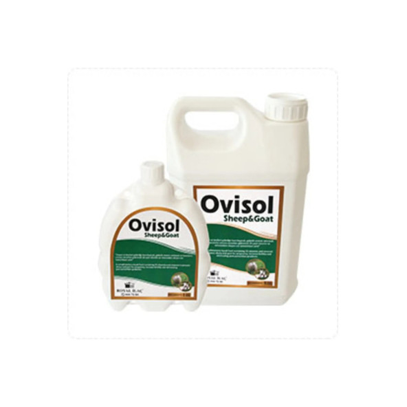 Royal İlaç Ovisol Sheep & Goat 1 Lt Koyun ve Keçiler Için Sıvı Yem Katkısı