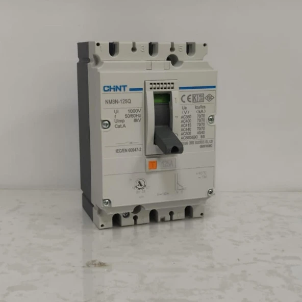 Chint - NM8N-125Q TM/125 3P 125A Ayarsalı Kompakt Şalter
