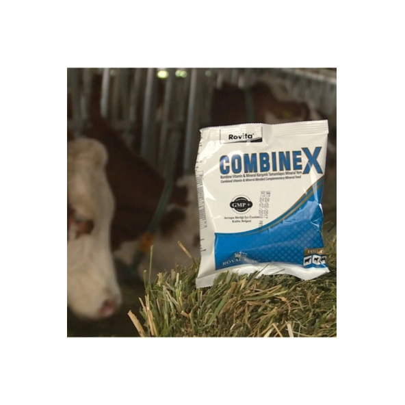 Royal İlaç Rovita Combınex Kombine vitamin mineral karışımlı tamamlayıcı mineral yem 100 gr