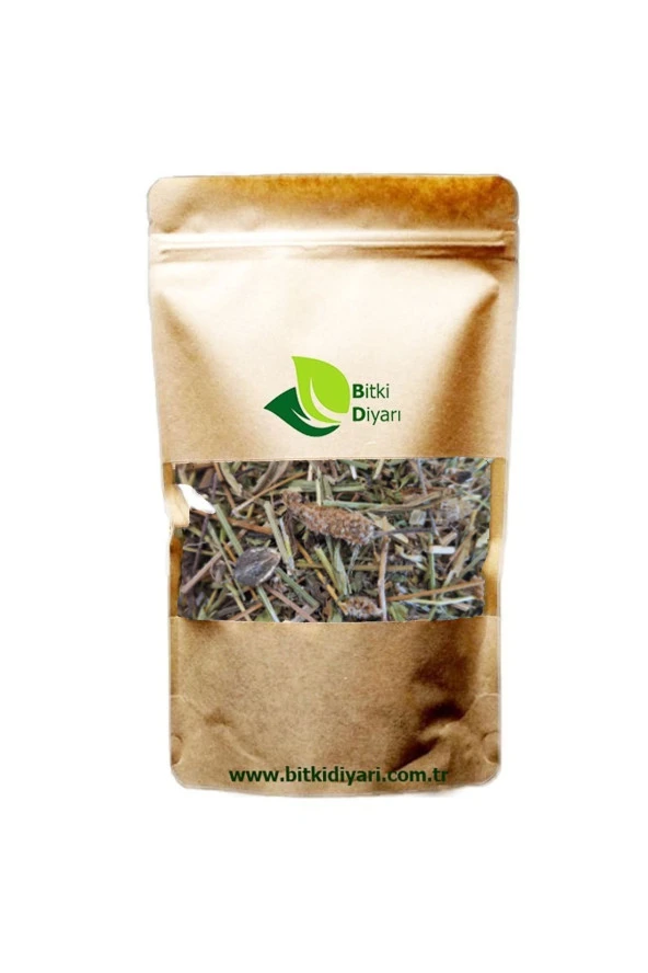 Damar Otu (folium Plantaginis) 50 gr ürün görseli