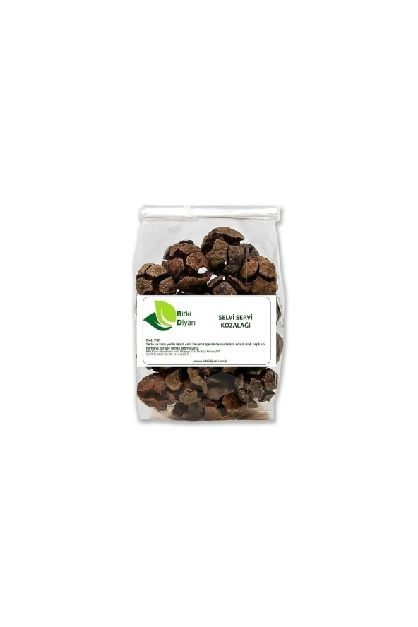 Servi Kozalağı 100gr