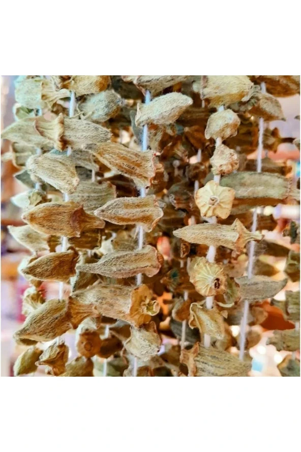 Bamya Kurusu 100gr ürün görseli