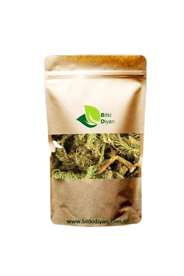 Kibrit Otu (Lycopodiun Clavatum) 500gr