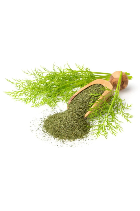 Dereotu Kurusu 100gr ürün görseli